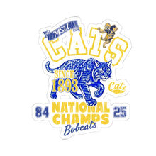 Load image into Gallery viewer, Cats Retro National Champs Sticker