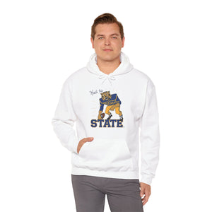 Hail To State - Unisex Heavy Blend™ Hooded Sweatshirt