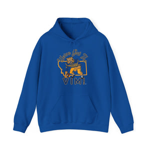 We’ve Got The Vim - Unisex Heavy Blend™ Hooded Sweatshirt