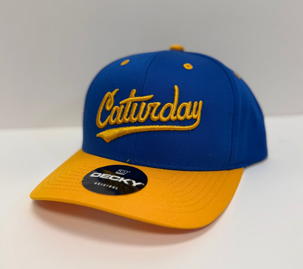 Caturday Two-Tone Hat