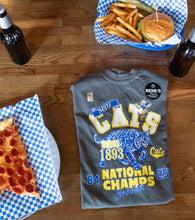 Load image into Gallery viewer, Cats Retro National Champs T-Shirt